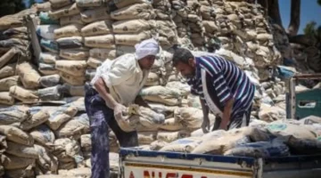 تحديث سعر الأسمنت اليوم الأربعاء 10 12 2025 وتأثيره على سوق البناء المحلي 1